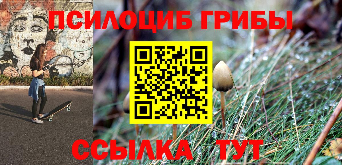 Галлюциногенные грибы Psilocybine cubensis Гурьевск