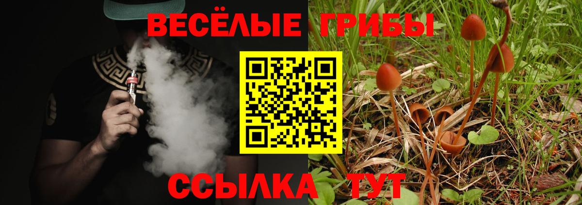 Гурьевск  закладка  Галлюциногенные грибы мухоморы  Вход с VPN  Галлюциногенные грибы Psilocybine cubensis 